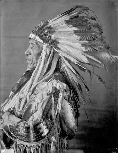 Yankton Sioux Indian Photographic Portrait Circa 1905 Native