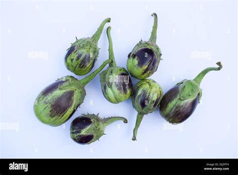 Brinjals Also Known As Aubergine Or Eggplant Ian Vegetables Light