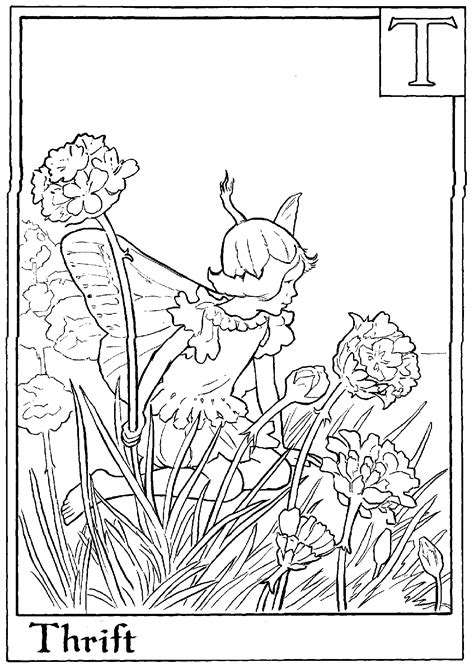 Flower Fairies Coloring Pages