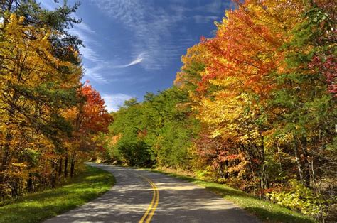 Your Guide To Smoky Mountain Fall Foliage