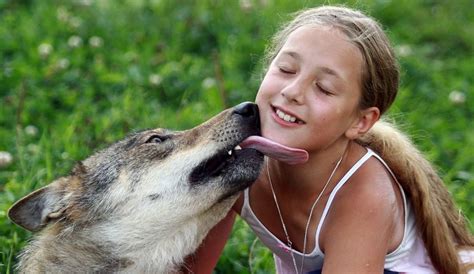 White Wolf Heartwarming Photos Of Children Playing With Wolves