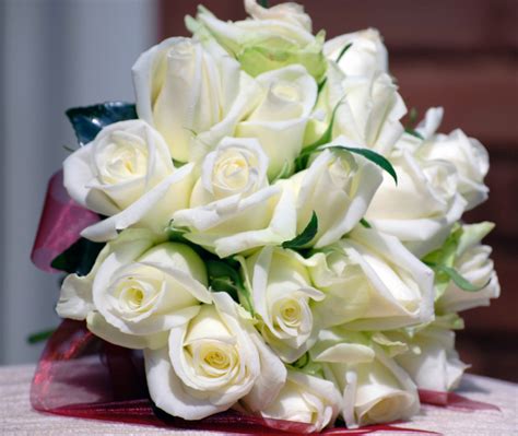 White Rose Flowers Photos Best Flower Site