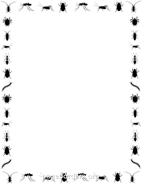 Insect Border Clip Art Page Border And Vector Graphics