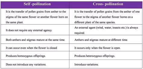 What are the advantages of pollination? Why is cross-pollination better than self-pollination? - Quora