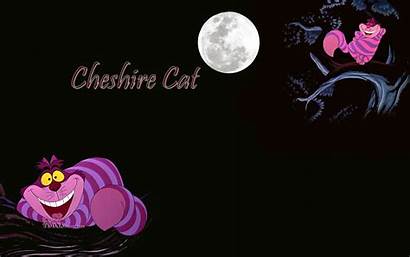 Cheshire Cat Wonderland Alice Backgrounds Disney Desktop