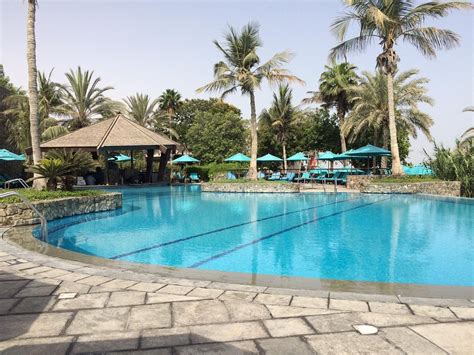 Ja Palm Tree Court Dubai Hotel Reviews Photos Rate