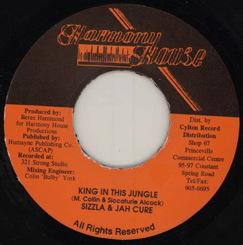 Sizzla & Jah Cure - King In This Jungle (Vinyl) | Discogs