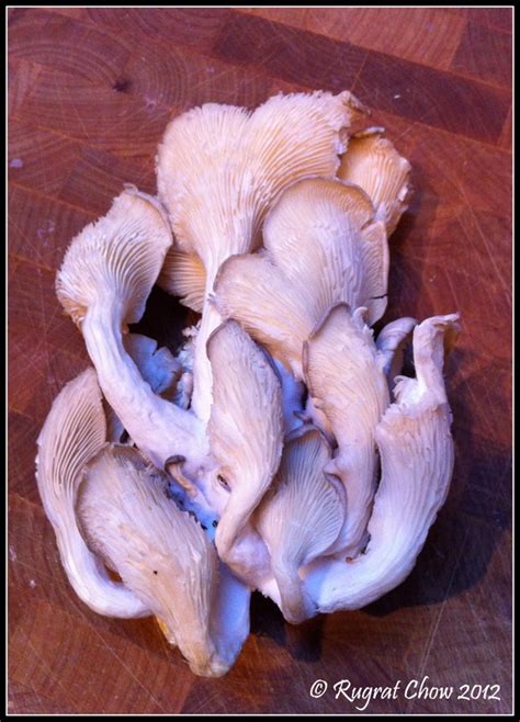 a whole food life oyster mushroom tossed pasta