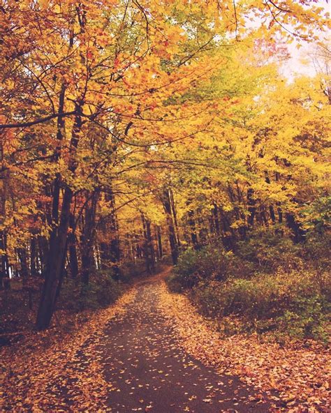 Pennsylvania autumn