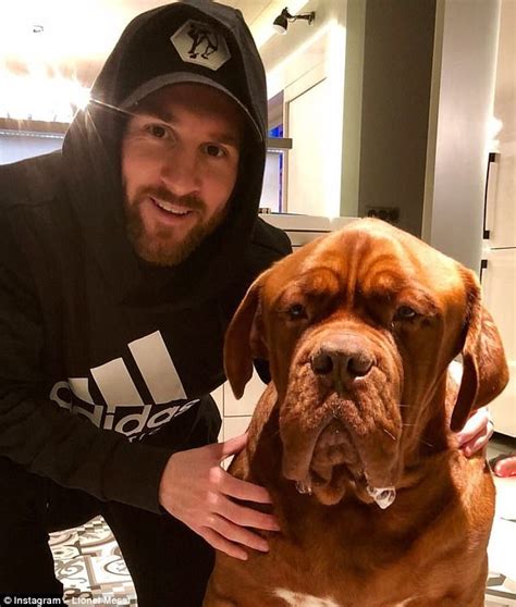 Lionel messi plays keep away with a football from his dog hulk. Barcelona star Lionel Messi relaxes with his human-sized ...