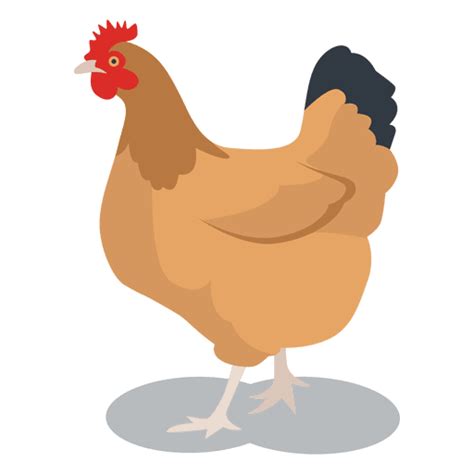 Gallina Png And Svg Transparent Background To Download