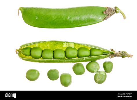 Fresh Green Pea Pod Isolated On White Background Top View Flat Lay
