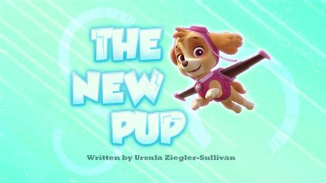 The New Pup Paw Patrol Wiki Fandom