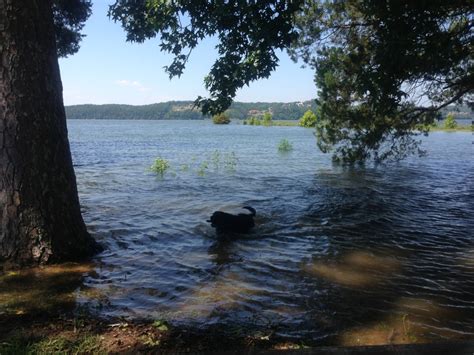 The park offers 69 rv campsites, 9 primitive camping sites, 20 cabins (duplex style), 3 cottages, 16 motel rooms, and 3 townhouses. Pickwick Dam RV Parks | Reviews and Photos @ RVParking.com