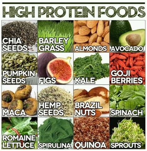 High Protein Soft Foods For Elderly Best Culinary And Food