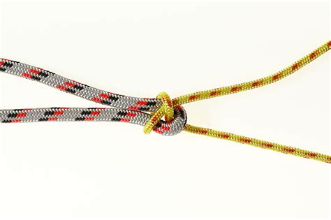 How To Tie 10 Essential Scouting Knots