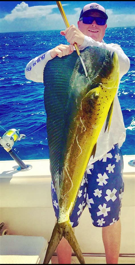 Billy West Shows Off A Beautiful Mahi Mahi He Caught In The Gulf