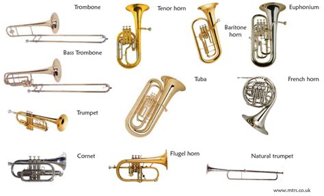 Making Musicians Instrument Families Brass Woodwind Percussion Strings