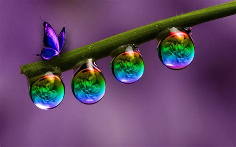 Butterfly And Rainbow Water Drops By Samantha800 On Deviantart