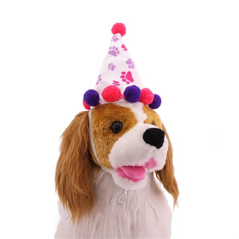 Out of stock at crossroads mall edit store. Girl Paw Print Birthday Dog Hat | BaxterBoo