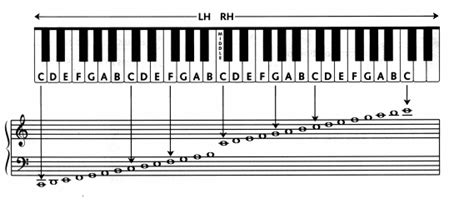Piano Key Chart Beginners Here Are A Few Easy Exercises To Get You