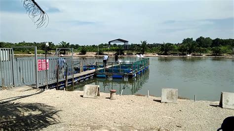 Lengkap alat pancing air tawar bentuk pena komplit. Kolam Pancing Air Masin, Sungai Rambai, Melaka - YouTube