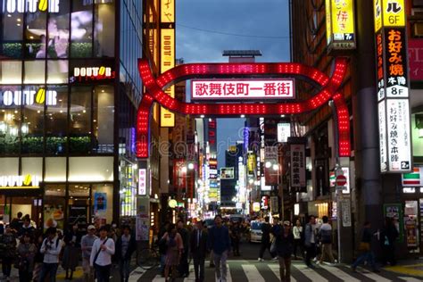 Tokyo Shinjuku Kabukicho Signboard Illumination Night View Graceful
