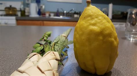 Bens Journal Two Lessons From And Two Projects For The Lulav And Etrog