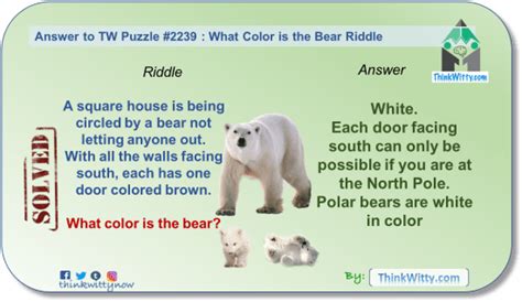 Answer To The What Color Is The Bear Riddle Think Witty