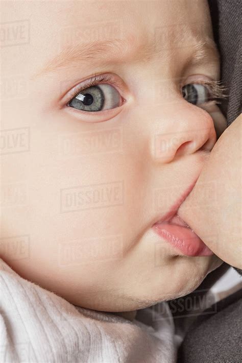 Close Up Portrait Of Cute Baby Girl Being Breastfed By Mother Stock
