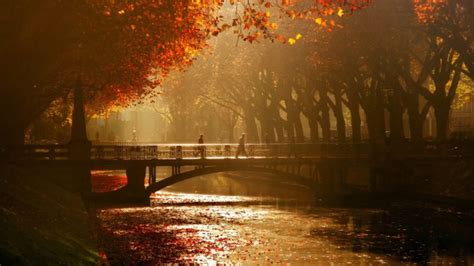 Autumn Tree Leaves Beauty Nature Landscape Bridge Peoples River