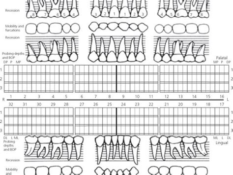 Periodontal Chart Template Periodontal Probing Chart Template Perio Chart Heart Williamson