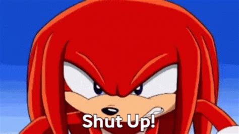 Sonic Knuckles The Echidna GIF Sonic Knuckles The Echidna Sonic X