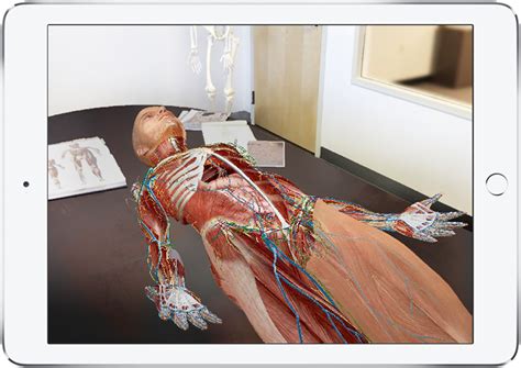 Anatomy of a map maps often consist of a combination of words and images that work together to help us to locate, and to better understand, places. Human Anatomy Atlas - Visual 3D gross and micro anatomy atlas