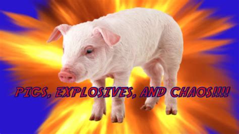 Pigs Explosives And Chaos Youtube