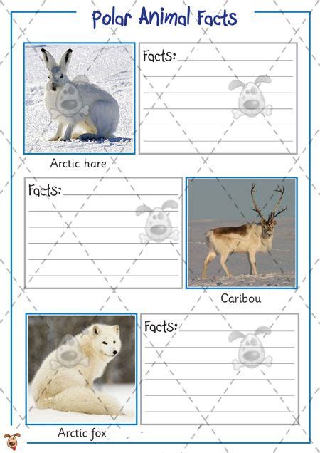 More facts about antarctica for kids. Teacher's Pet - Polar Animal Fact Files - Premium ...