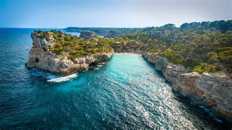 Wildlife Holidays in Mallorca for 2020/21 - Naturetrek