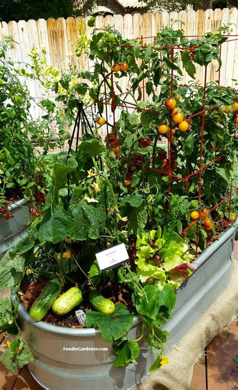 Grow A Container Vegetable Garden In 2023 Easy Backyard