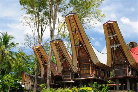 Tongkonan Are Traditional Torajan Houses That Can Be Found In The