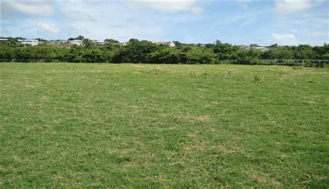 Lands for development, shops, hotel, showroom, office building, petrol station, food & beverage (f&b), hospital, college, service apartment, 3s center, shopping complex and etc. Barbados Agricultural land for sale with Warehouse | 5 ...