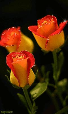 We did not find results for: roses gif