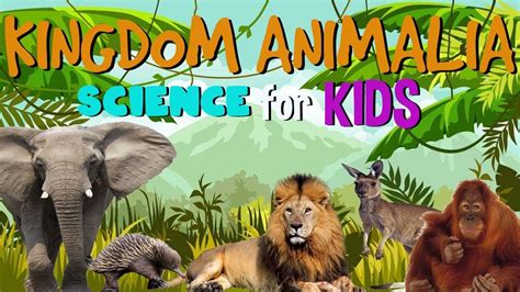 Animal Kingdom Science For Kids Youtube