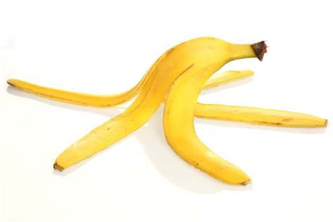 Free Photo Banana Peel Banana Risk Nature Free Download Jooinn