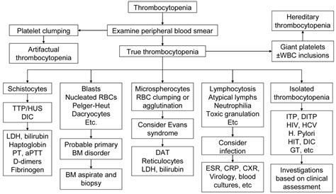 Thrombocytopenia Workup Algorithm A Common Consult Grepmed