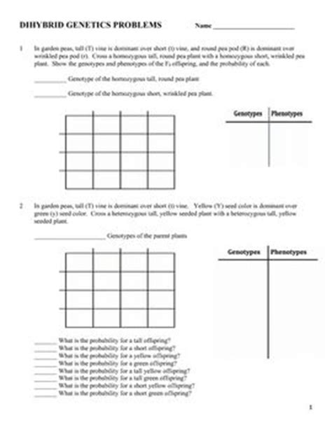 Worksheets are punnett square work punnett squares work more punnett square practice 11 punnett squares answer key aa ee ii mm bb ff jj nn cc gg kk oo dd hh ll pp. Genetics: Dihybrid (Two Factor) Practice Problem Worksheet ...