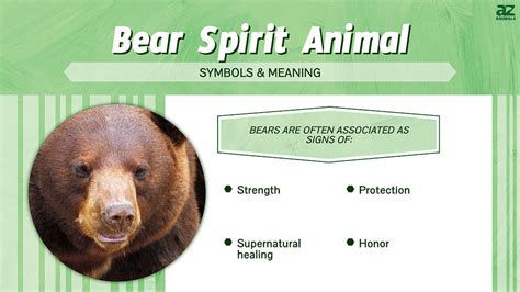Bear Spirit Animal Symbolism And Meaning A Z Animals
