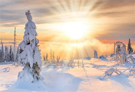 Lfeey 5x3ft Winter Hilltop Sunrise Scenery Background
