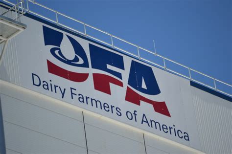 Dairy Farmers Of America Keeps Top World Ranking Dairy Global