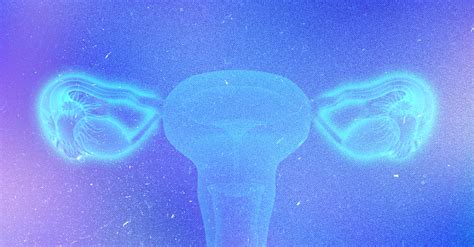 Everything You Need To Know About Fallopian Tubes