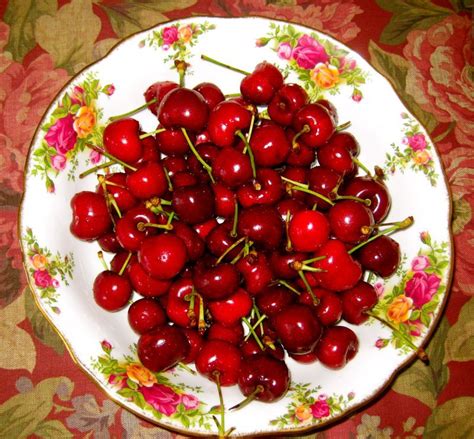 Under The Sun With Me Cherry Cherries Jubilee Fruit